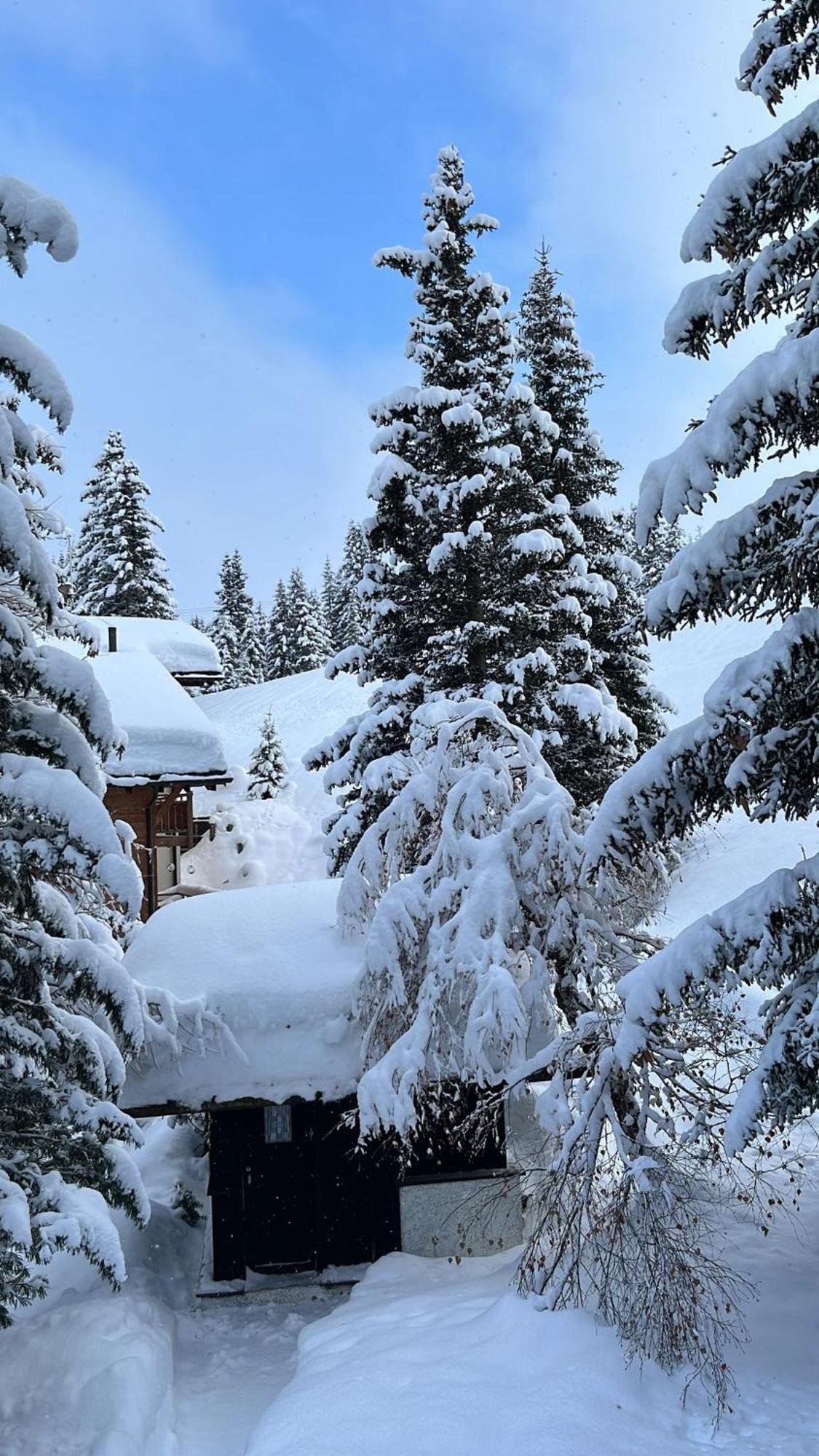 Chalet Baur Arosa Eksteriør billede